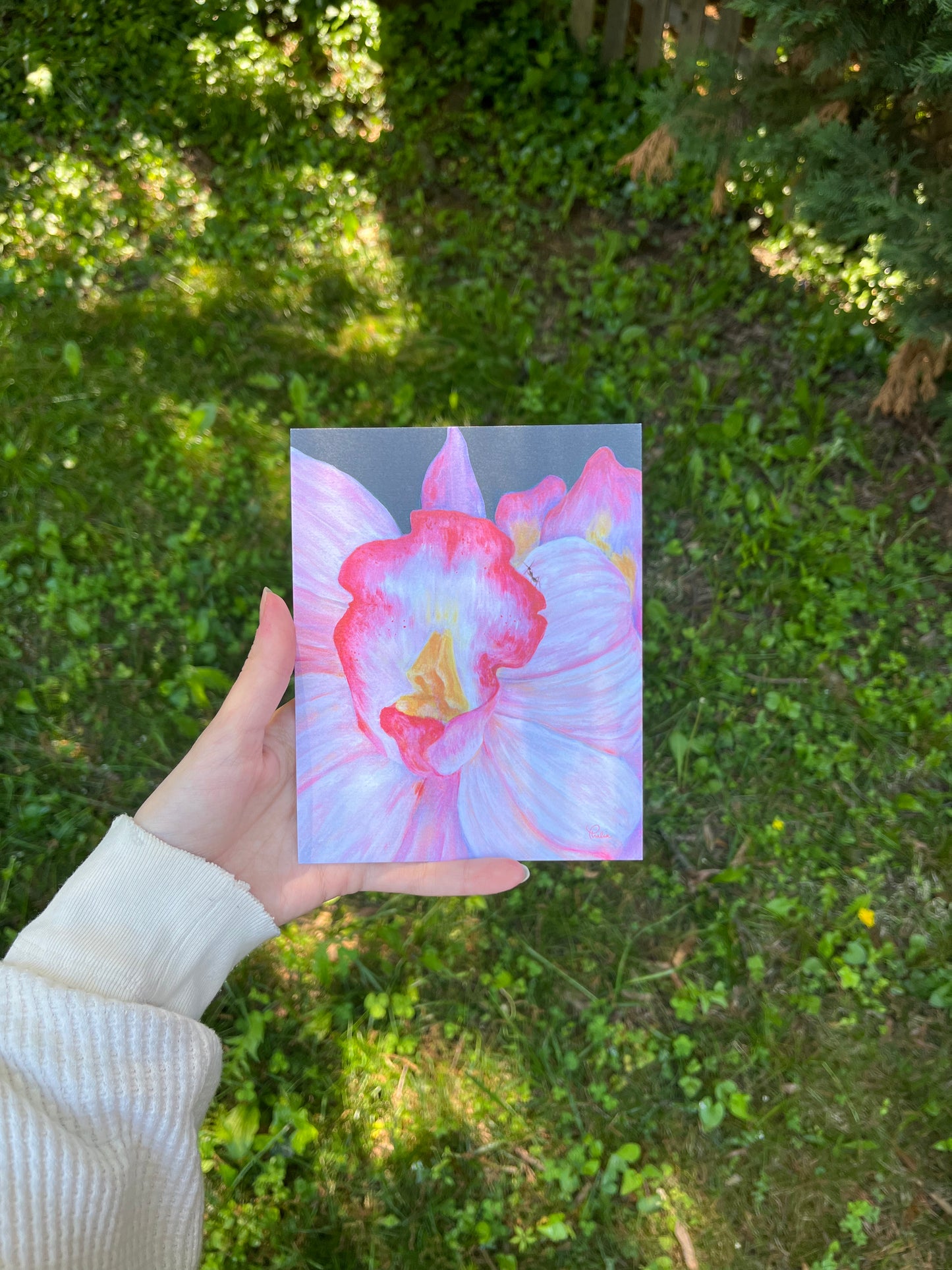 "orchid and ant" – art print